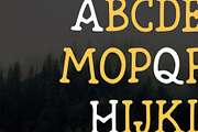 North Star | Vintage Slab Serif, a Slab Serif Font by Beveled Design Co. (Thumbnail 6 of 10)