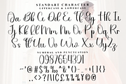 Wedding Aurelia, a Handwritten Font by FreshTypeINK (Thumbnail 5 of 8)
