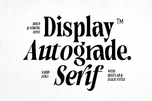 Autograde - Strong Bold Serif