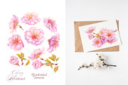 Cherry Blossom, Sakura Watercolor, an Illustration by MarinadeArt (Thumbnail 4 of 6)