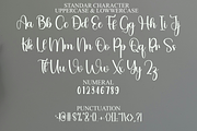 Night Party, a Handwritten Font by FreshTypeINK (Thumbnail 8 of 8)