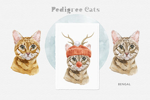 Feline Nature. Cat Portrait Creator