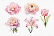 Watercolor flower illustration set., a Decorative Illustration by kaisorn (Thumbnail 5 of 5)