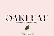 Oakleaf - Elegant & Unique Serif, a Serif Font by Mikhail Fukurou (Thumbnail 1 of 9)