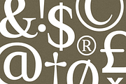GC Driver Company - Serif Italic, a Serif Font by Glyphonic (Thumbnail 9 of 15)