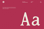 CS Bozhena Drawn, a Serif Font by Craft Supply Co. (Thumbnail 4 of 8)