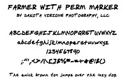 Farmer with Perm Marker, a Script Font by Dakota Visions (Thumbnail 2 of 2)