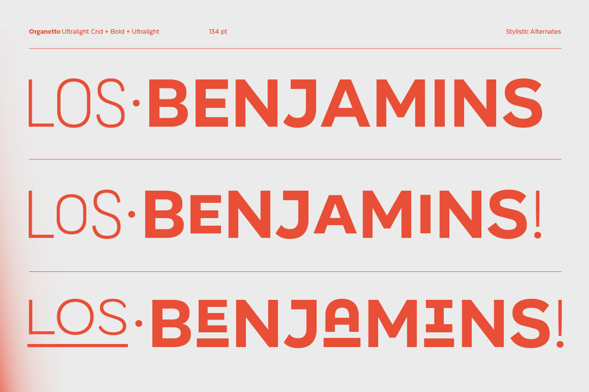 Organetto, a Sans Serif Font by Latinotype (Photo 13 of 15)