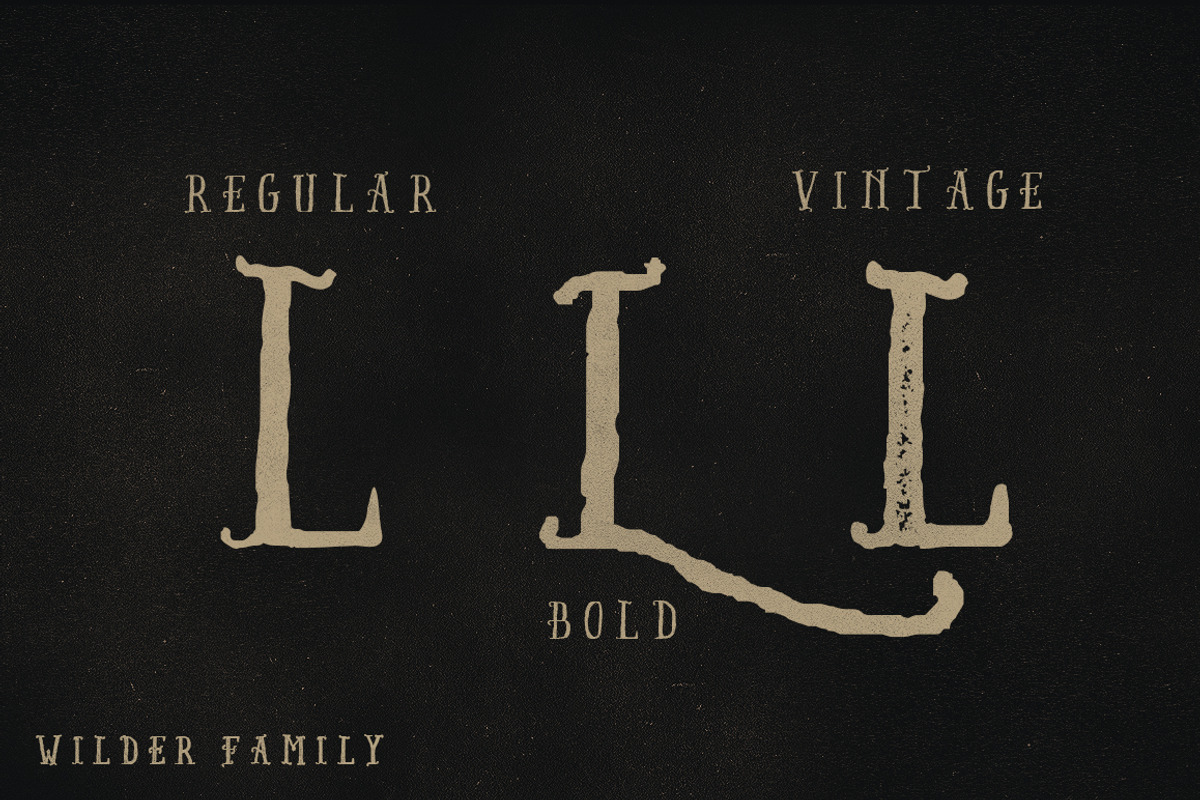 Wilder Family & Handdrawn Kit preview 2