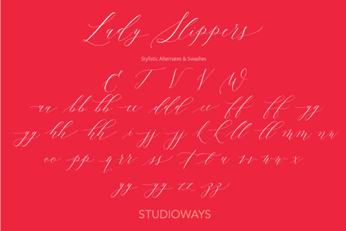 Lady Slippers, a Script Font by STUDIOWAYS (Photo 9 of 11)