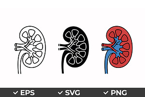 Human Kidney Vector Icon Set, an Object Graphic by Artonix