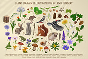 Forest Sketchbook illustrations, an Object Graphic by Fat Hamster (Thumbnail 2 of 17)