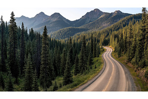 Winding road through dense, a Nature Photo by Sergey Kotenev