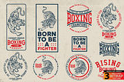 BOXING, an Animal Illustration by Artistic & Unique (Thumbnail 4 of 9)