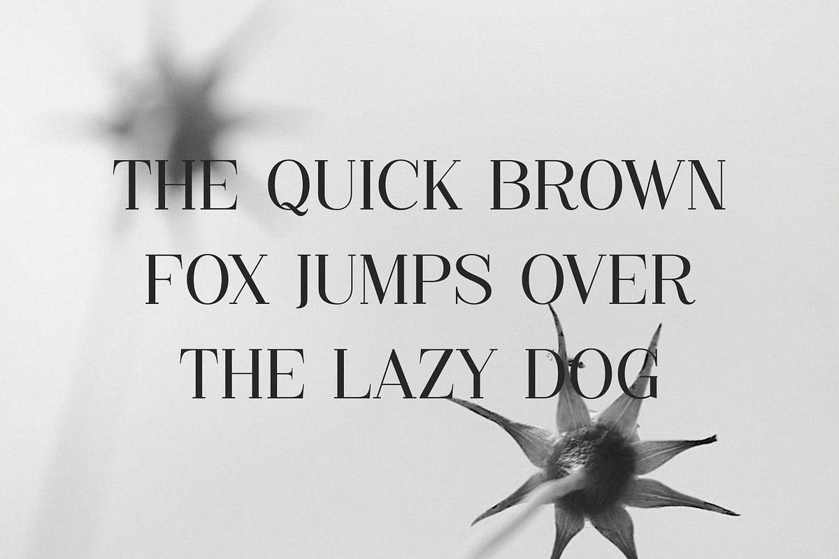Gelang - Stylish & Modern Serif Font, a Serif Font by TypeLogue (Photo 2 of 5)
