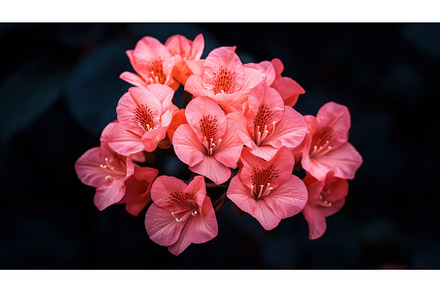 Close-up of a cluster of vibrant, a Nature Photo by Sergey Kotenev