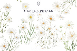 watercolor daisy clipart set, a Decorative Illustration by Patishop Art