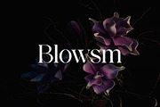 Westbury Claridge Luxury Serif Font, a Serif Font by UICreative (Thumbnail 3 of 13)