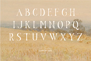 Nadier - Classic Retro Typeface, a Serif Font by Flawless And Co (Thumbnail 11 of 12)
