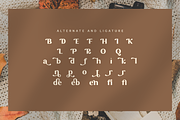 Forbiden Classy Sans Serif, a Sans Serif Font by Glyphstyle (Thumbnail 5 of 6)