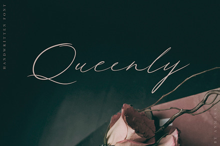 Queenly. Handwritten Font, a Script Font by AnMark