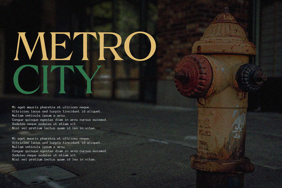 Horison Modern Serif Typeface, a Serif Font by Font Kingdom (Photo 6 of 7)