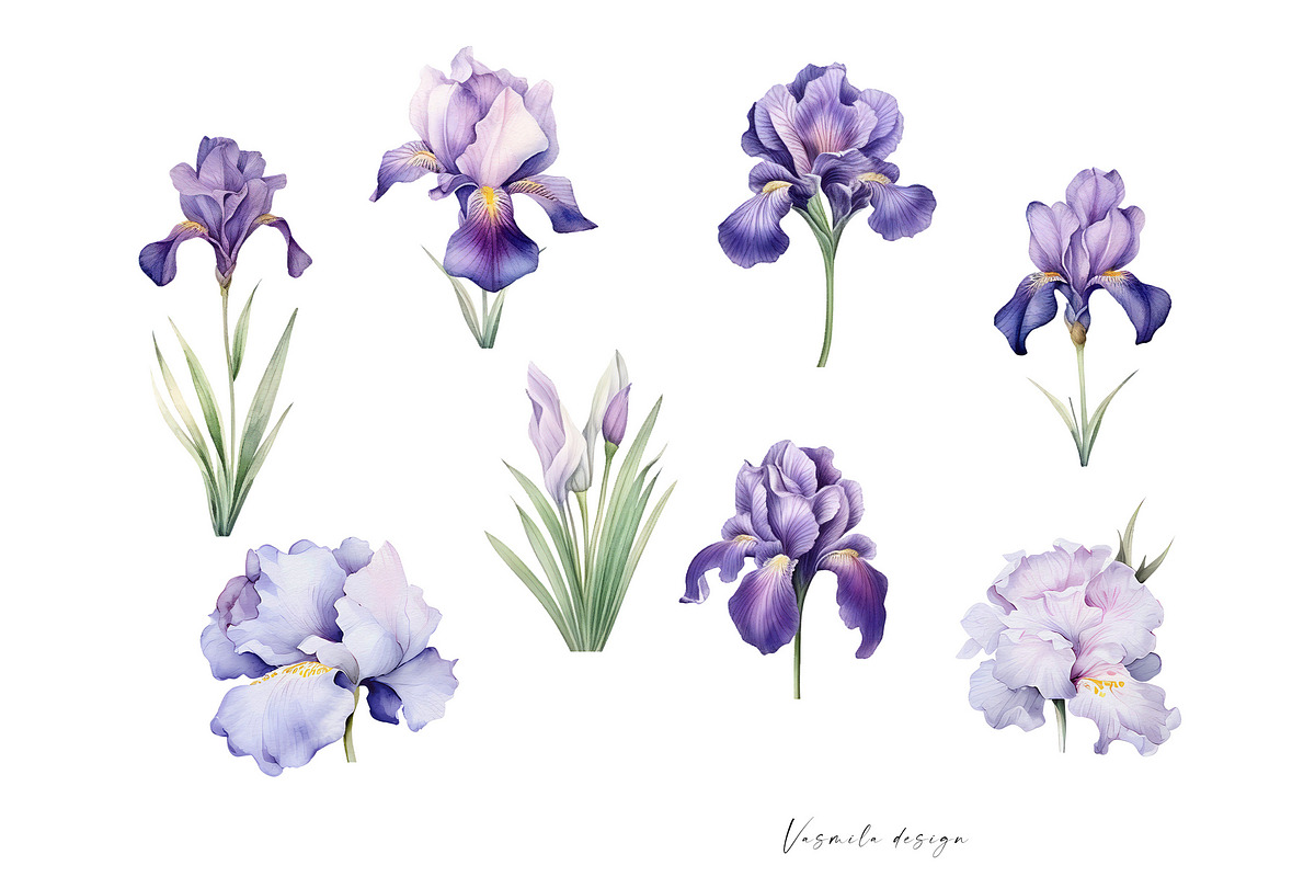 Iris Flowers, a Decorative Illustration by Vasmila (Photo 5 of 9)