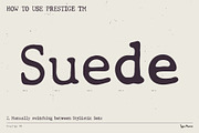 Prestige TM – Organic Typewriter, a Serif Font by Type Mania (Thumbnail 6 of 11)