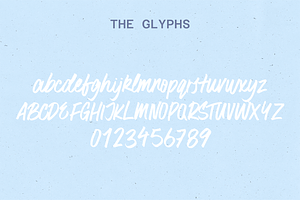 Surfer Bay Brush Font