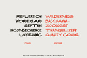Dakota Rough Sans + Bonus, a Sans Serif Font by Any-Type® Foundry (Thumbnail 5 of 7)