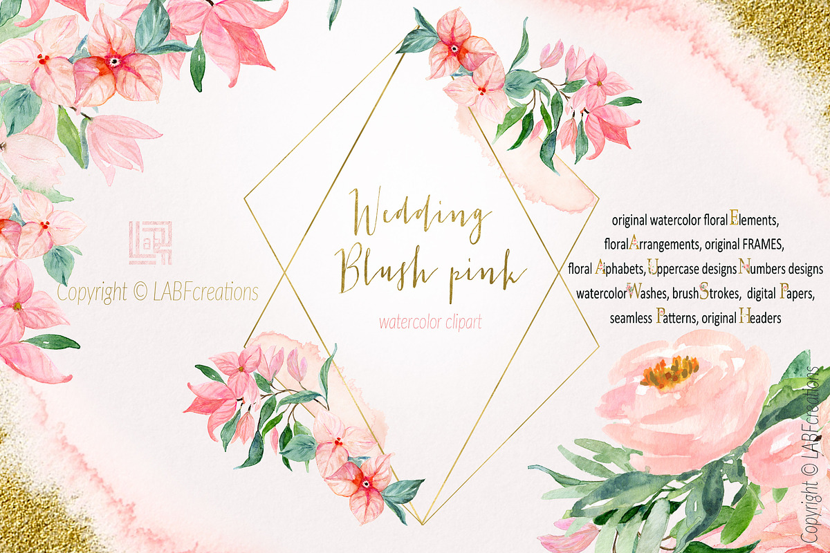 Blush pink bougainvillea flowers, an Illustration by LABFcreations (Photo 4 of 16)
