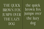 Mellino, a Serif Font by Nurul_kamal (Thumbnail 2 of 10)