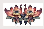 Muji Co · Symmetrical Botanics, a Decorative Illustration by milatovar (Thumbnail 9 of 16)