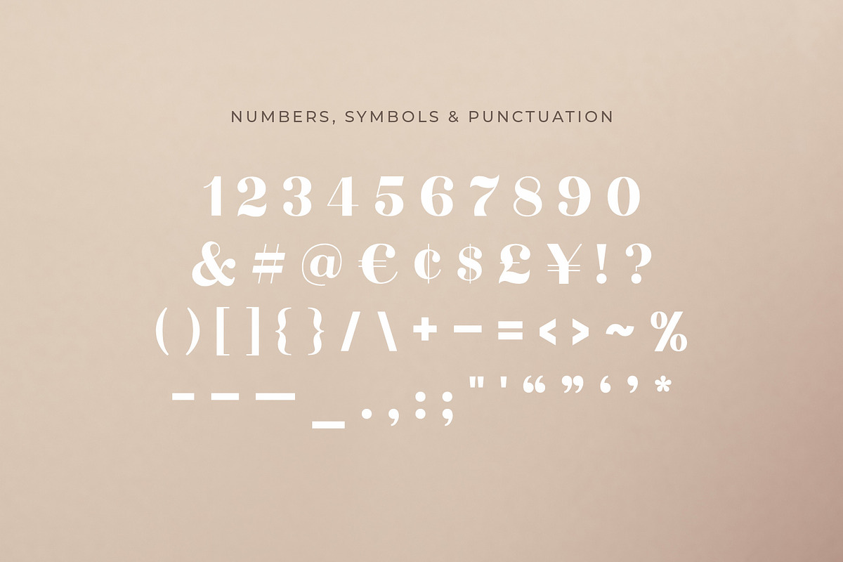 Elouise - Elegant Serif Font preview 3