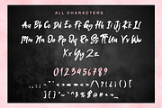 Dowilas - Handwritten Brush Font, a Handwritten Font by Dhabee (Thumbnail 3 of 15)