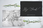 White Marble Calligraphy Font, a Script Font by CallMeStasia (Thumbnail 6 of 10)