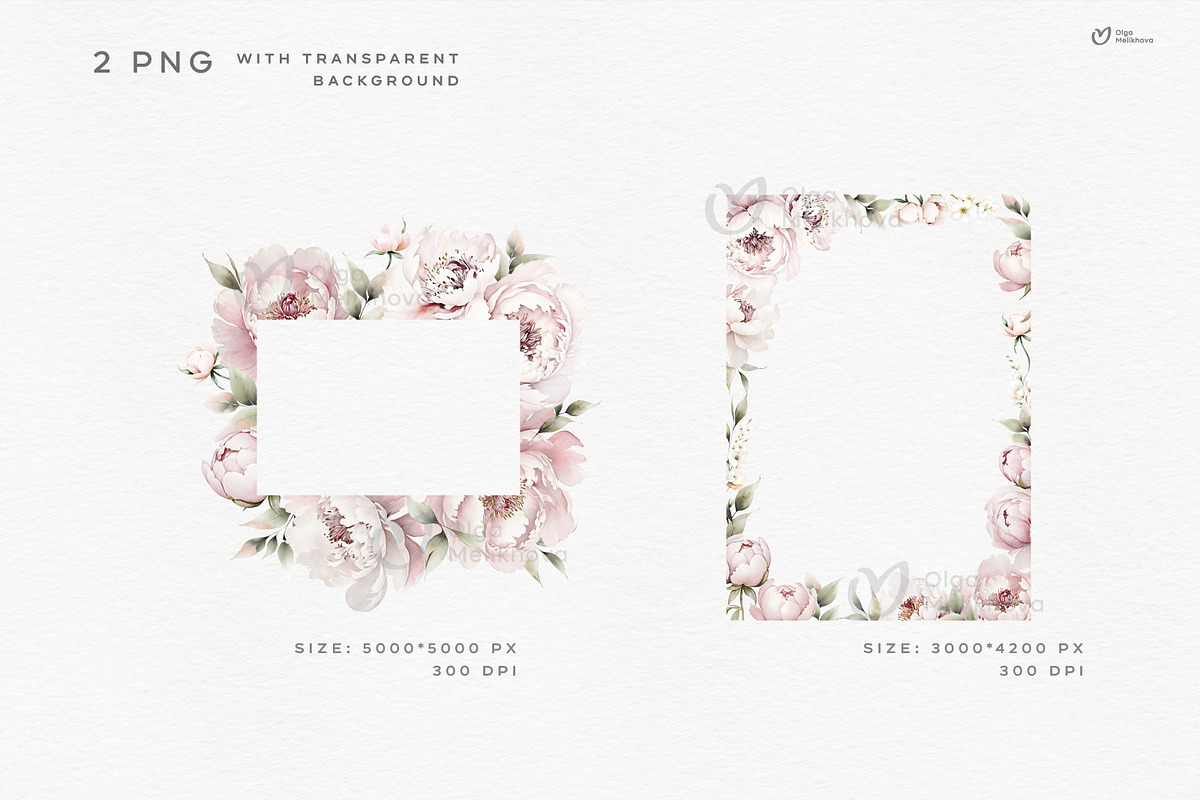 Pink Bloom, Watercolor peonies, an Object Illustration by ollalya (Photo 5 of 7)