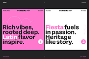 Suiza, a Sans Serif Font by Latinotype (Thumbnail 11 of 16)