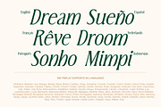 MN Triplay - Elegant Display Serif, a Serif Font by Mantra Naga (Thumbnail 9 of 15)