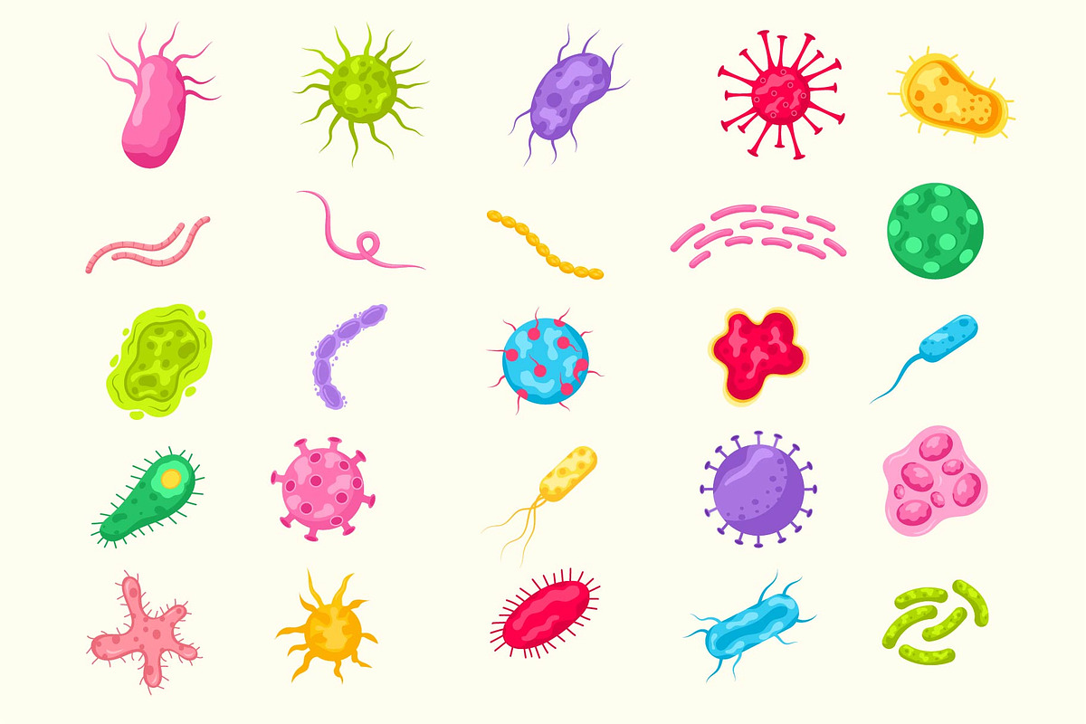 Microorganisms and Bacteria Bundle, an Object Graphic by Artnivora.Std (Photo 2 of 3)