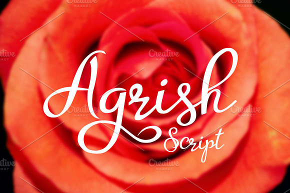 Agrish preview 6