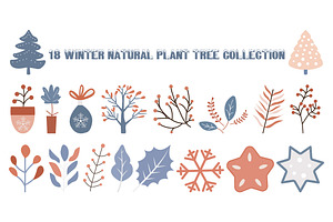 18 Winter Natural Plant Tree