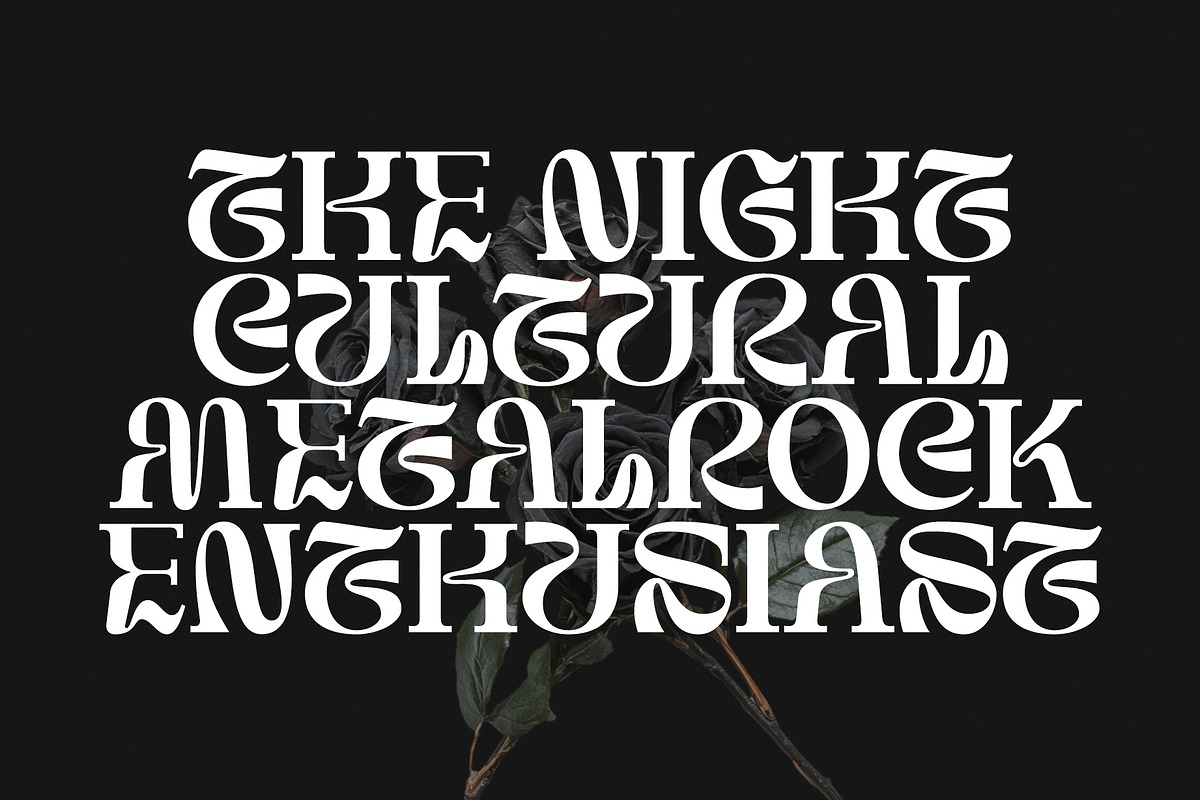 Struick Display Serif, a Serif Font by Violet Natural (Photo 9 of 10)