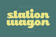Rekina - Vintage Bold Script, a Script Font by Aksa & Nusa Co. (Thumbnail 5 of 9)