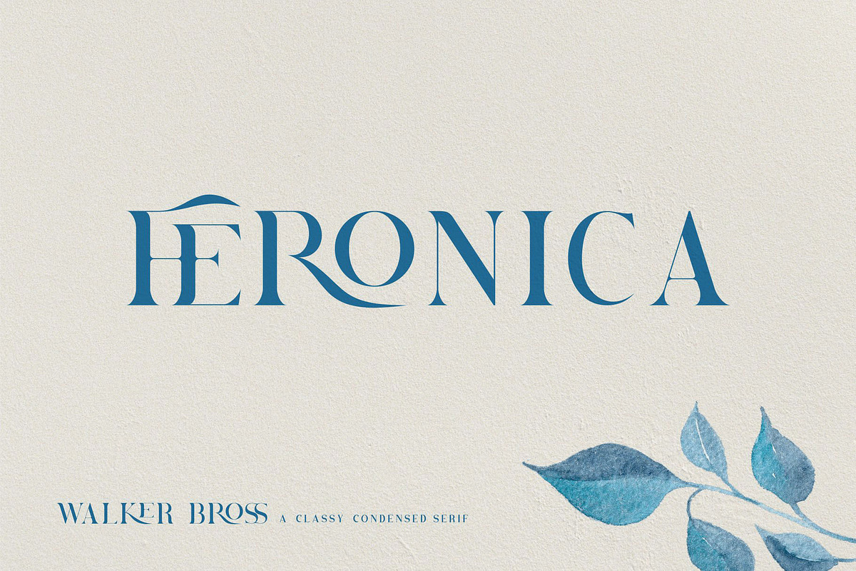 Brovile. A Classy Serif preview 8