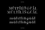 Vastyque - Modern Ligatures Serif, a Serif Font by Vesvocrea (Thumbnail 10 of 12)