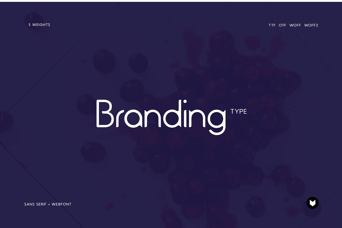 Cranberry Display Typeface, a Font by Foxtype (Photo 2 of 8)