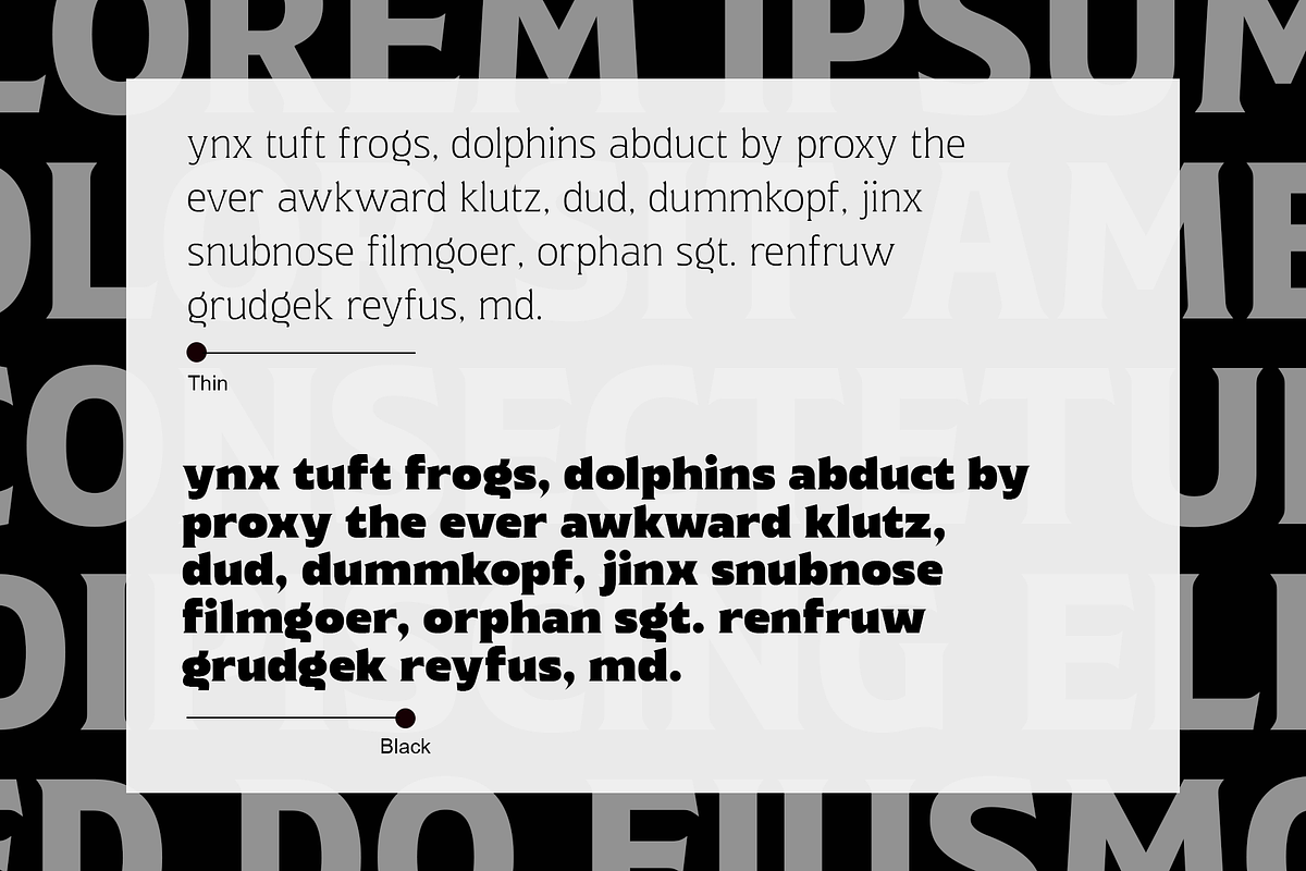 Chunky Delight, a Serif Font by Wildan Type (Photo 6 of 10)