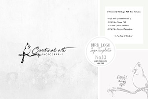 Bird Logo Artistic style Cardinal 10