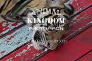 Animal Kingdom Photo Pack V1